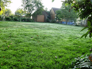 Morgensonne im erwachenden Garten (C) by Joachim Wenk Morgensonne im erwachenden Garten (C) by Joachim Wenk