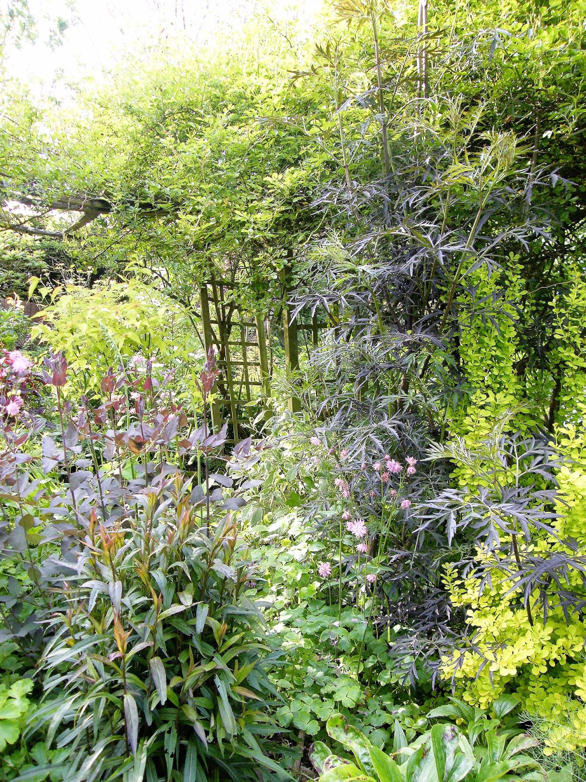 Au Gre Du Jardin Pas De Miracles Au Gre Du Jardin