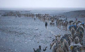 اقسى مكان على وجه الارض في صحراء داناكيل تابعوا الصور