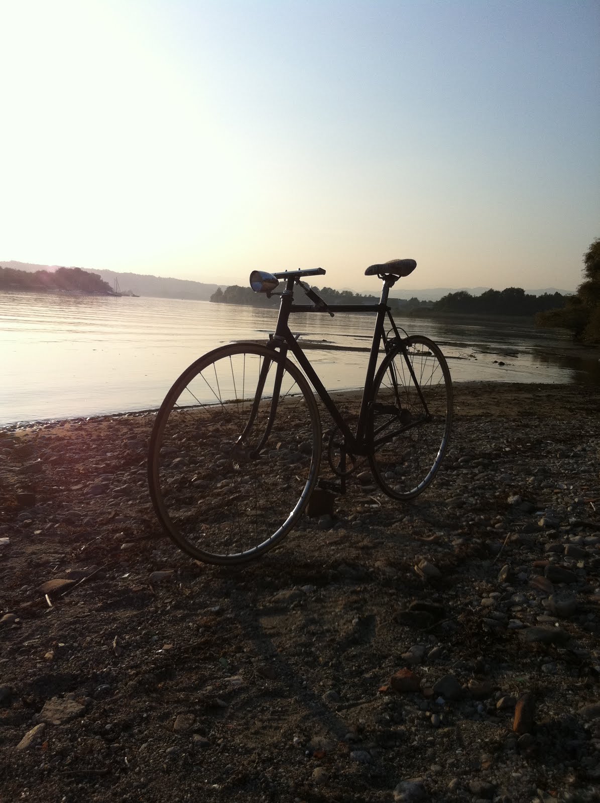 Ruota Libera Bici 16T Vctitil - Pignone Acciaio Per Bici Singola B 592625