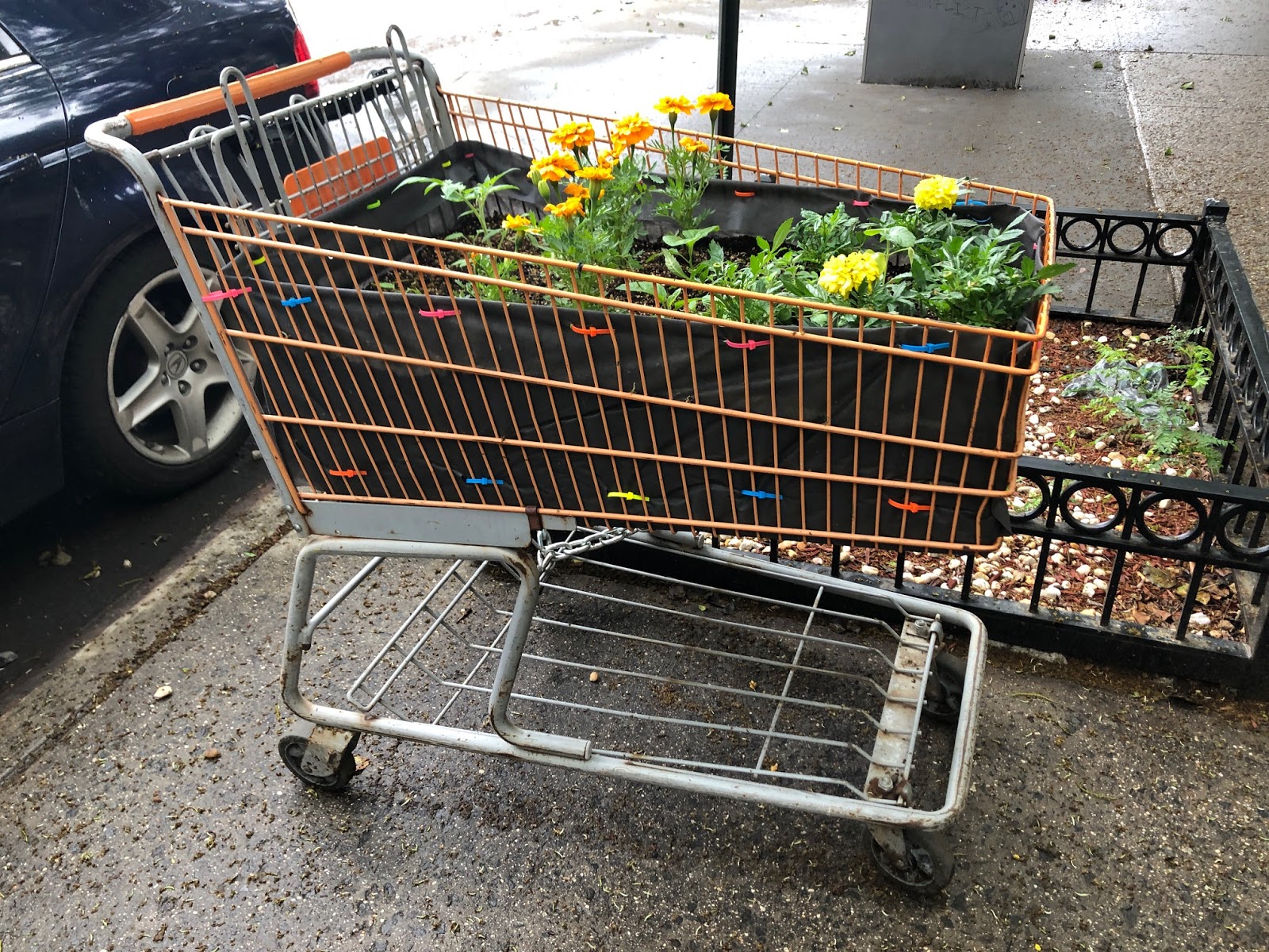 bicycle grocery cart
