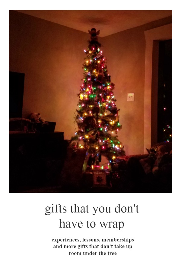 10 Awesome and Practical Gifts that You Don't Have to Wrap Sunshine