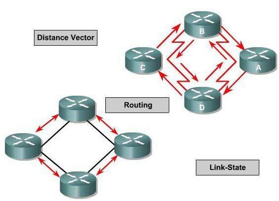 Link state. Дистанционно-векторные протоколы маршрутизации. Фиксированная маршрутизация. Дистанционно Векторная маршрутизация. Алгоритмы маршрутизации.