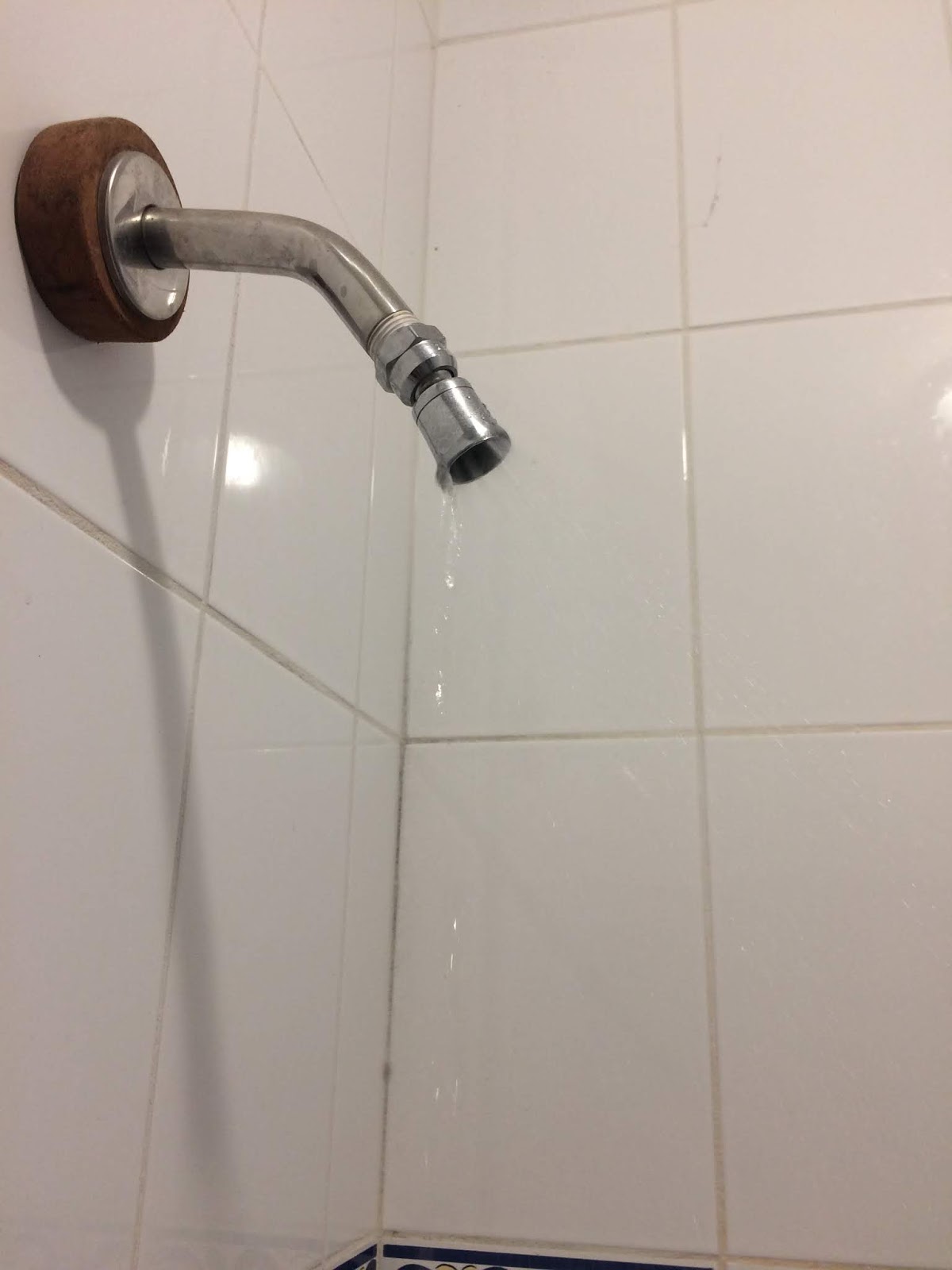 Greener Living February 2019