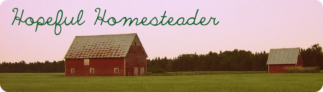 Hopeful Homesteader