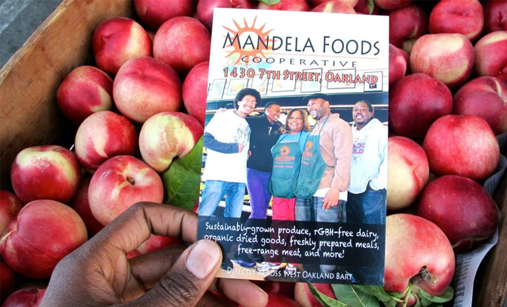Sunday's Tale Mandela Foods Cooperative take care of food system of