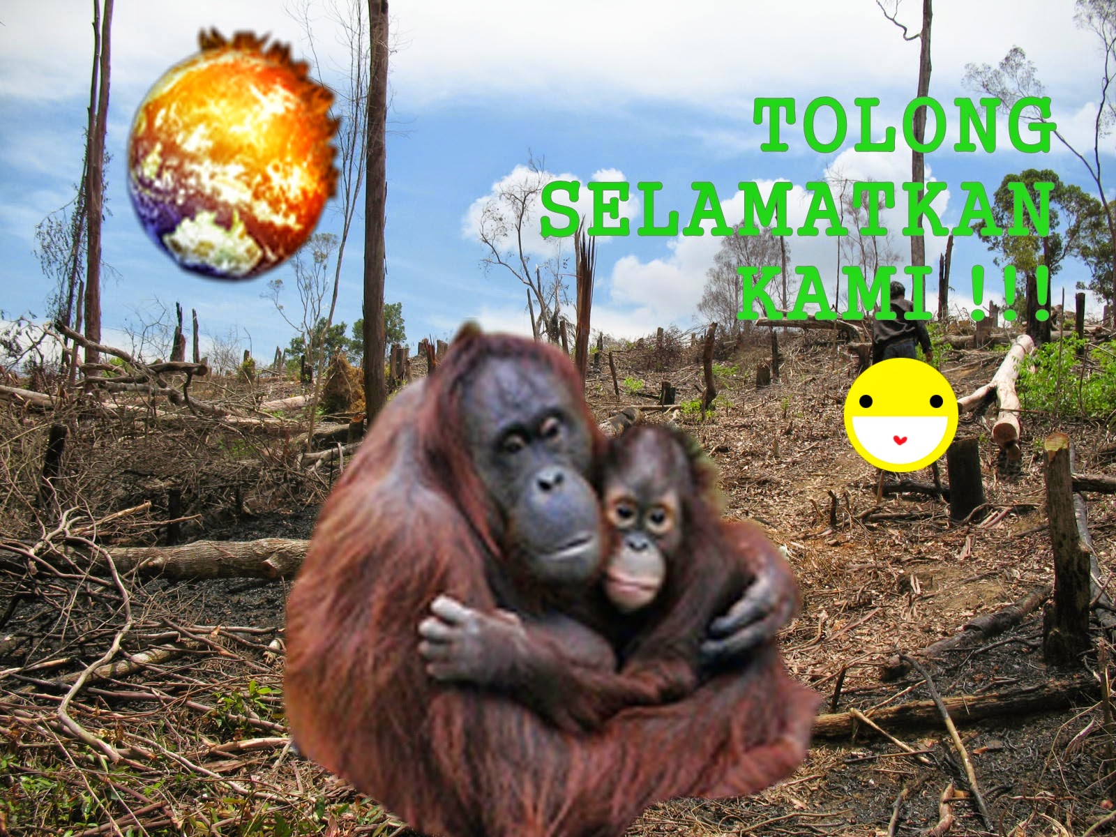KONSERVASI FLORA DAN FAUNA EPUB KONSERVASI FLORA DAN FAUNA EPUB