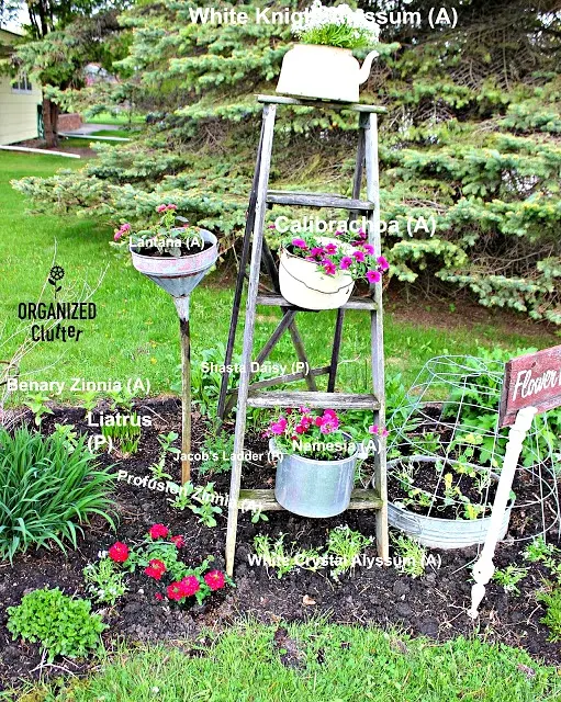Add A Ladder To Your Flower Garden #junkgarden #gardenjunk #gardenladder #containergarden #rusticgarden