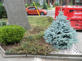 Baby Point Toronto front garden renovation before by Paul Jung Gardening Services