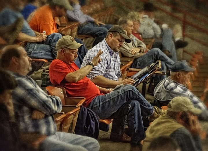 Dan Routh Photography December 2011