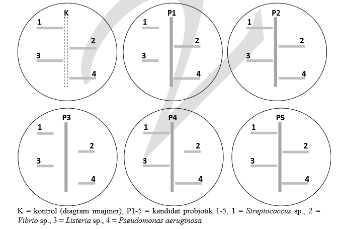 peroxid a parazitákból a testben