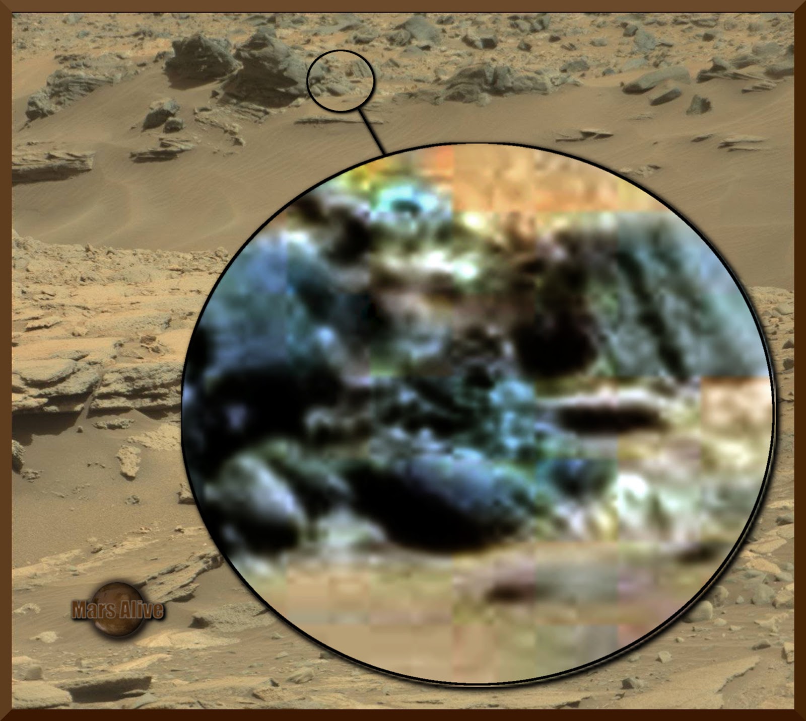 Life Form On Mars Mars Alive