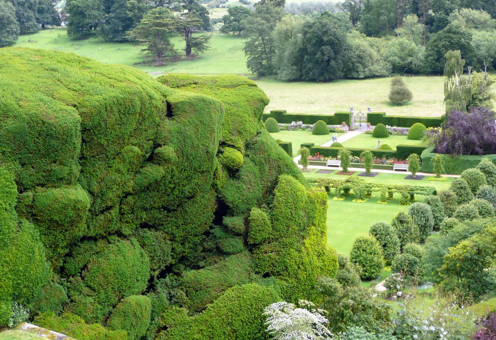 Moors and More Powys Castle Gardens