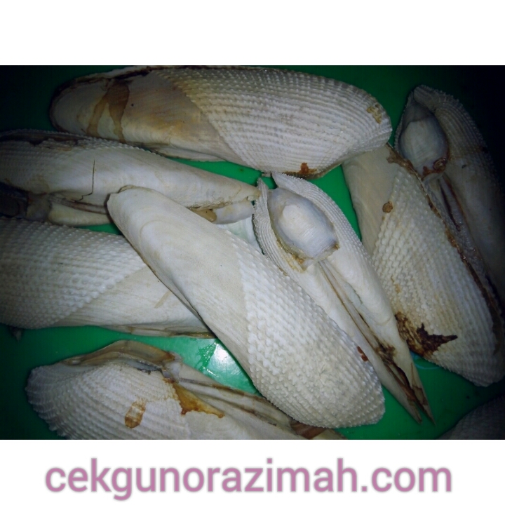 Mentarang Bakar Memang Terbaik Cikgunorazimah