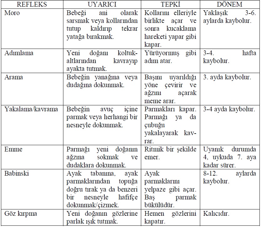 01 Yaş Psikomotor Gelişim BİR ANNE DOĞDU