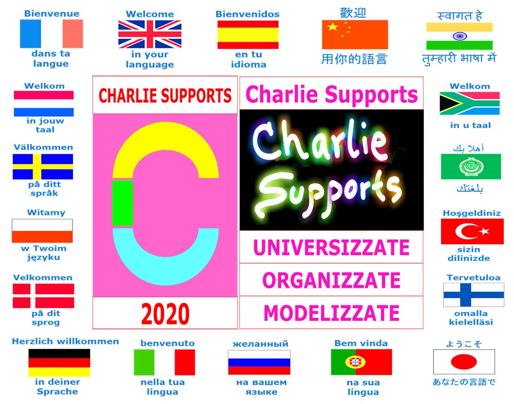 CHARLIE SUPPORTS 2020 by Academizzate