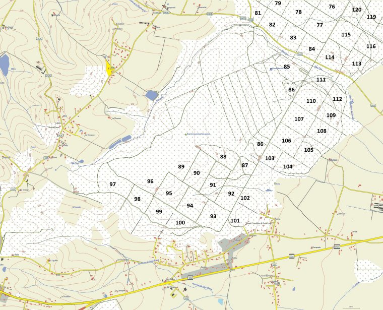 Foret de Bouconne Cartes parcellaires de la forêt de Bouconne Foret de Bouconne Cartes parcellaires de la forêt de Bouconne