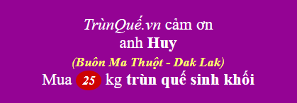 Phân giun quế