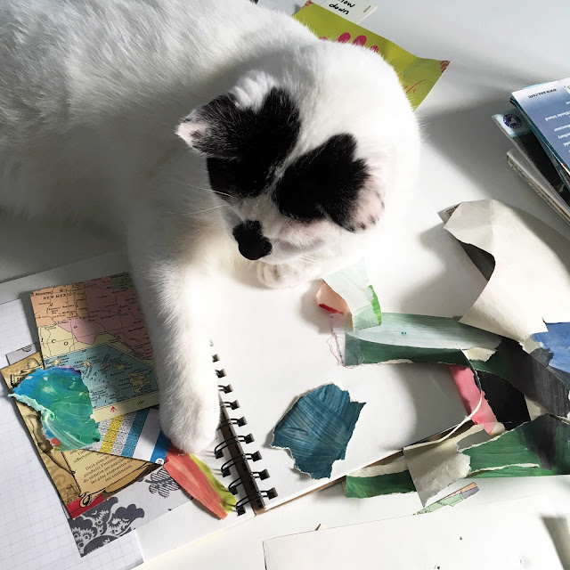 cats, artists, studio, sketchbook, Anne Butera, My Giant Strawberry