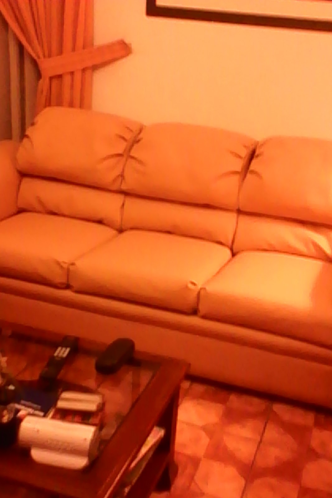 Teñido Muebles de Cuero-Restauracion-Reparacion: enero 2011