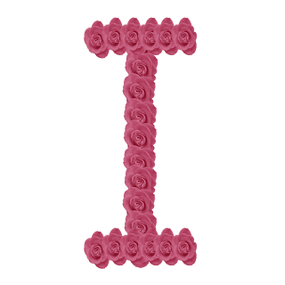 Abecedario hecho con Rosas Rosadas. Pink Roses Alphabet.