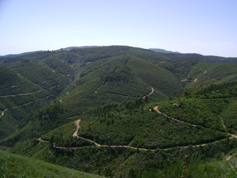 OS CAMINHOS NA SERRA DE MONCHIQUE