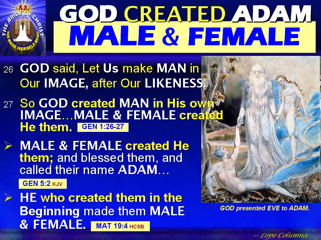 The BIBLE EXPLAINER & REVELATOR Q25 HOW DID YESHUA (JESUS)