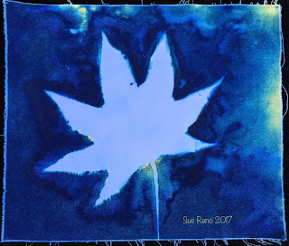 Wet cyanotype_Sue Reno_Image 222