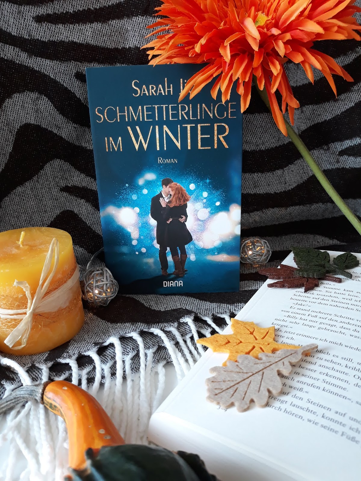 Schmetterlinge im Winter