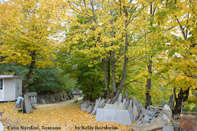 Autumn at Cava Nardini Stone quarry in Vellano Tuscany Italy