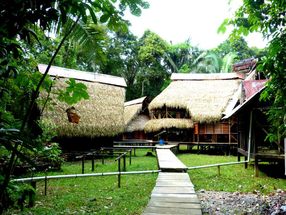 Cuyabeno - Jamu Lodge
