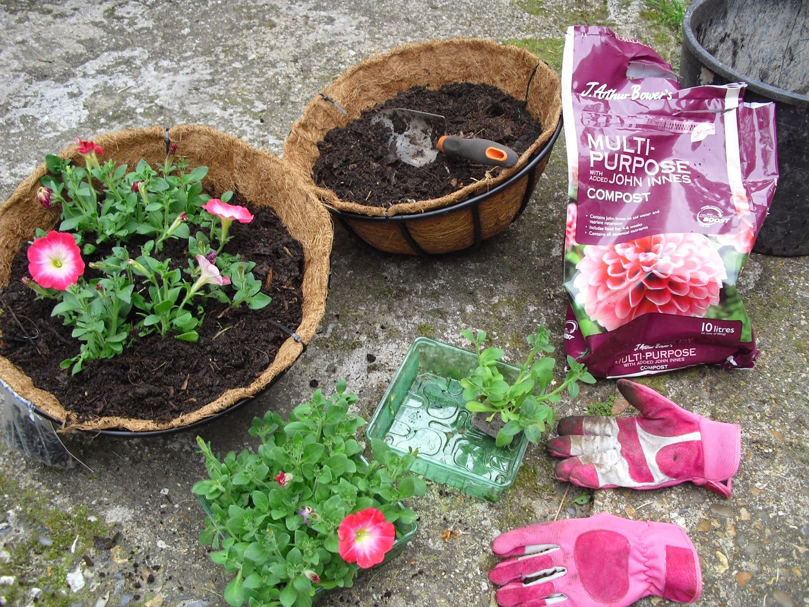 All Things Considered Growing hanging baskets in London