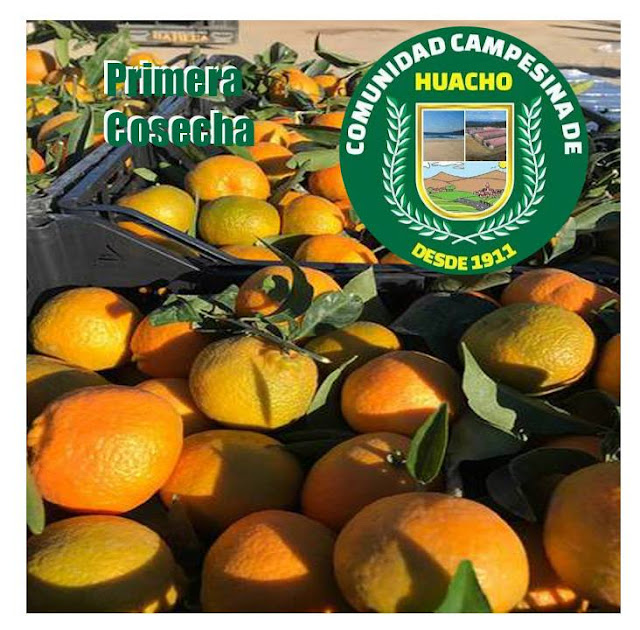 Comunidad Campesina de Huacho