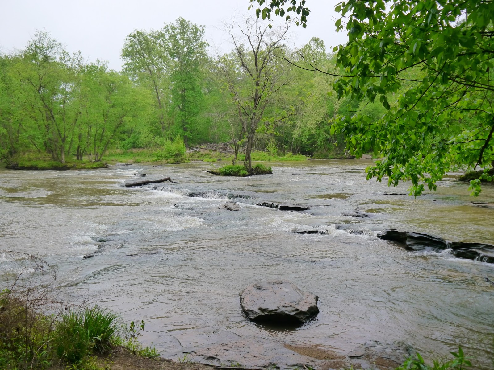 American Travel Journal Enoree River Shoals Musgrove Mill State