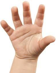 MANO DE UN NIÑO - SENTIDO DEL TACTO Foto de una mano - Sentido del tacto