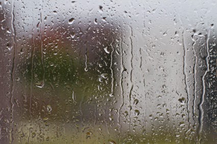 French Vocabulary Illustrated buée