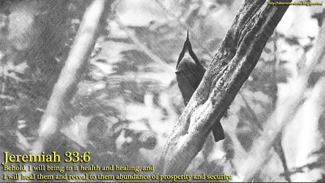 Jeremiah 33:6 Jeremiah 33:6