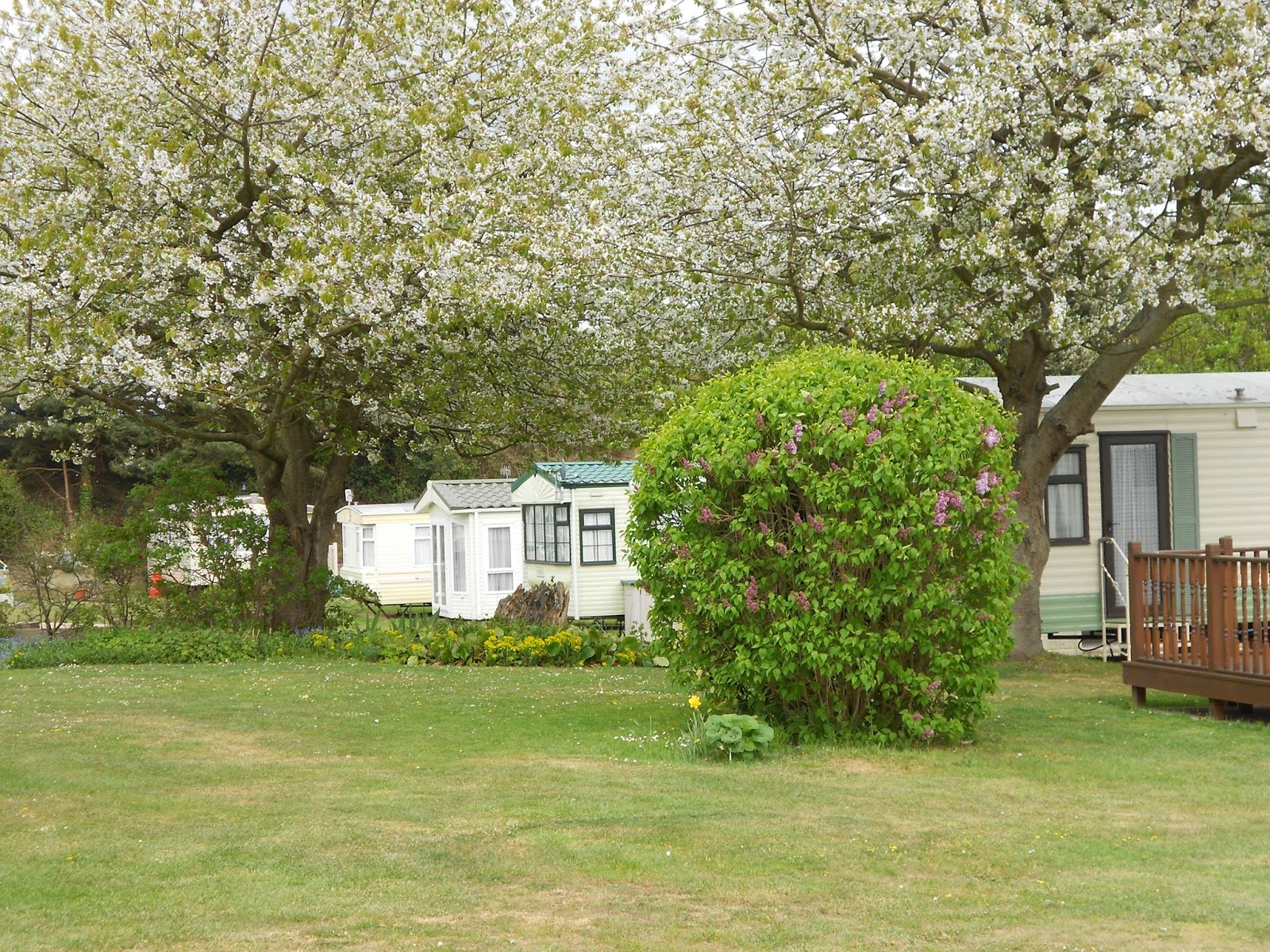 Poplars Caravan & Chalet Park, East Runton, Cromer, Norfolk