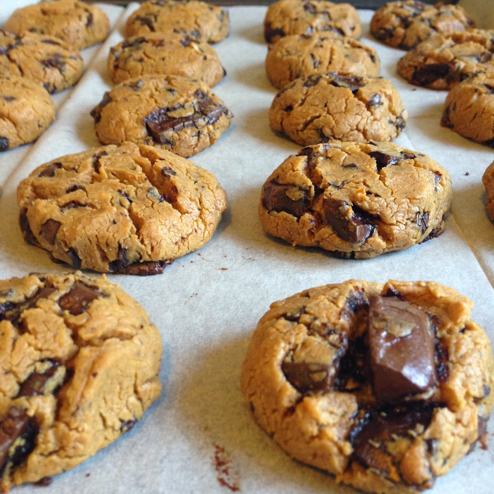 Petite Madeleine Garbanzo Bean Chocolate Chip Cookies