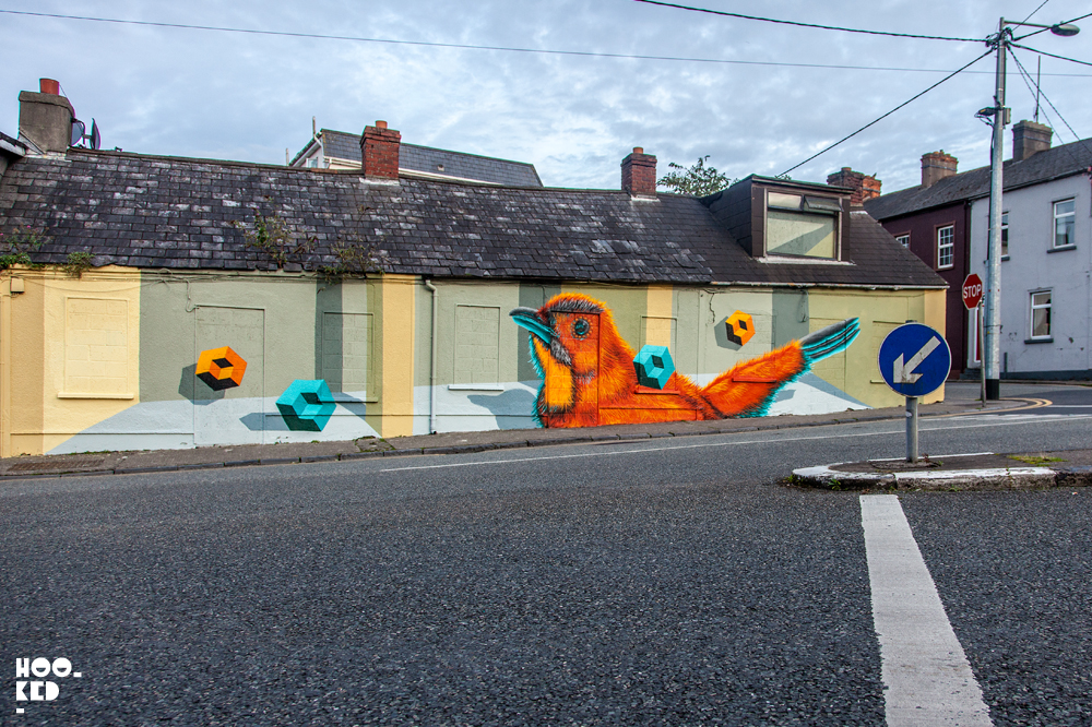 Canadian Street Artist BirdO's Waterford Walls Mural in Ireland