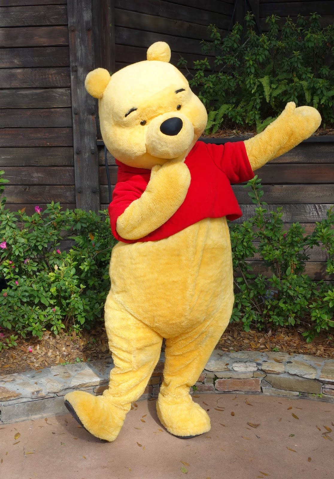 It's just an image of Effortless Pics of Winne the Pooh It is a graphic of Effortless Pics of Winne the Pooh