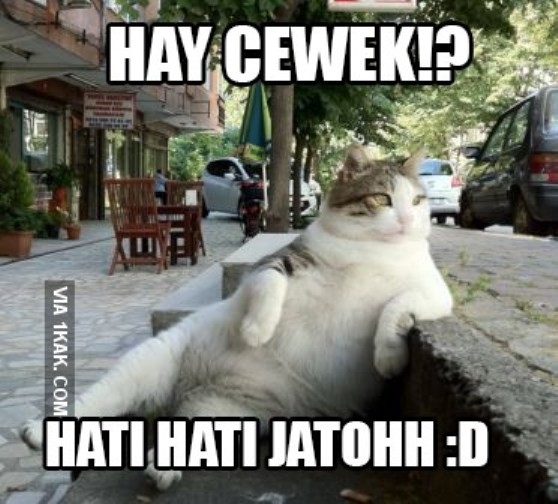 Asli Ngakak! Inilah 16 Meme Seandainya Hewan Bisa Berbicara Seperti Manusia Asli Ngakak! Inilah 16 Meme Seandainya Hewan Bisa Berbicara Seperti Manusia