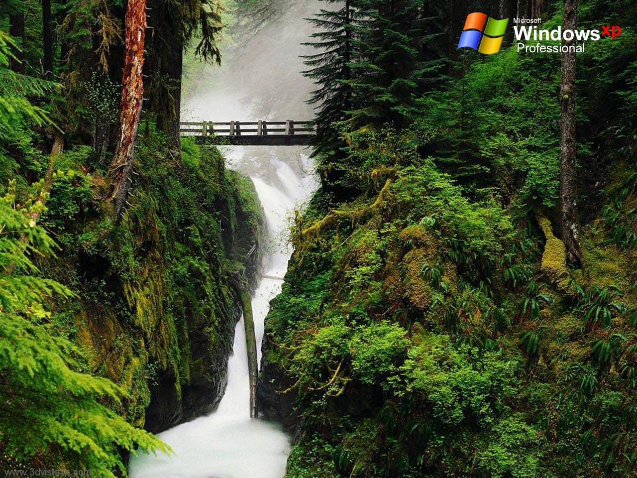Desktop wallpapers images backgrounds HD highquality windows natural nature