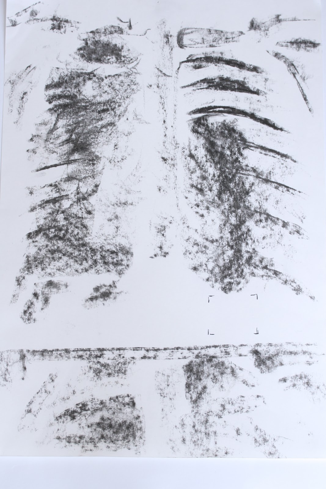 GSA H&C Year 2 Term 2 Drawing short course: X-ray of ribs