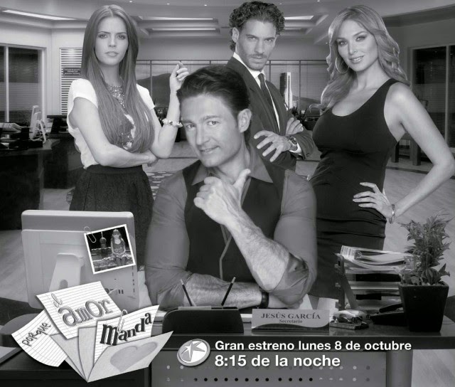 afiche porque el amor manda