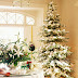 20 Beautifully Decorated Christmas Trees
