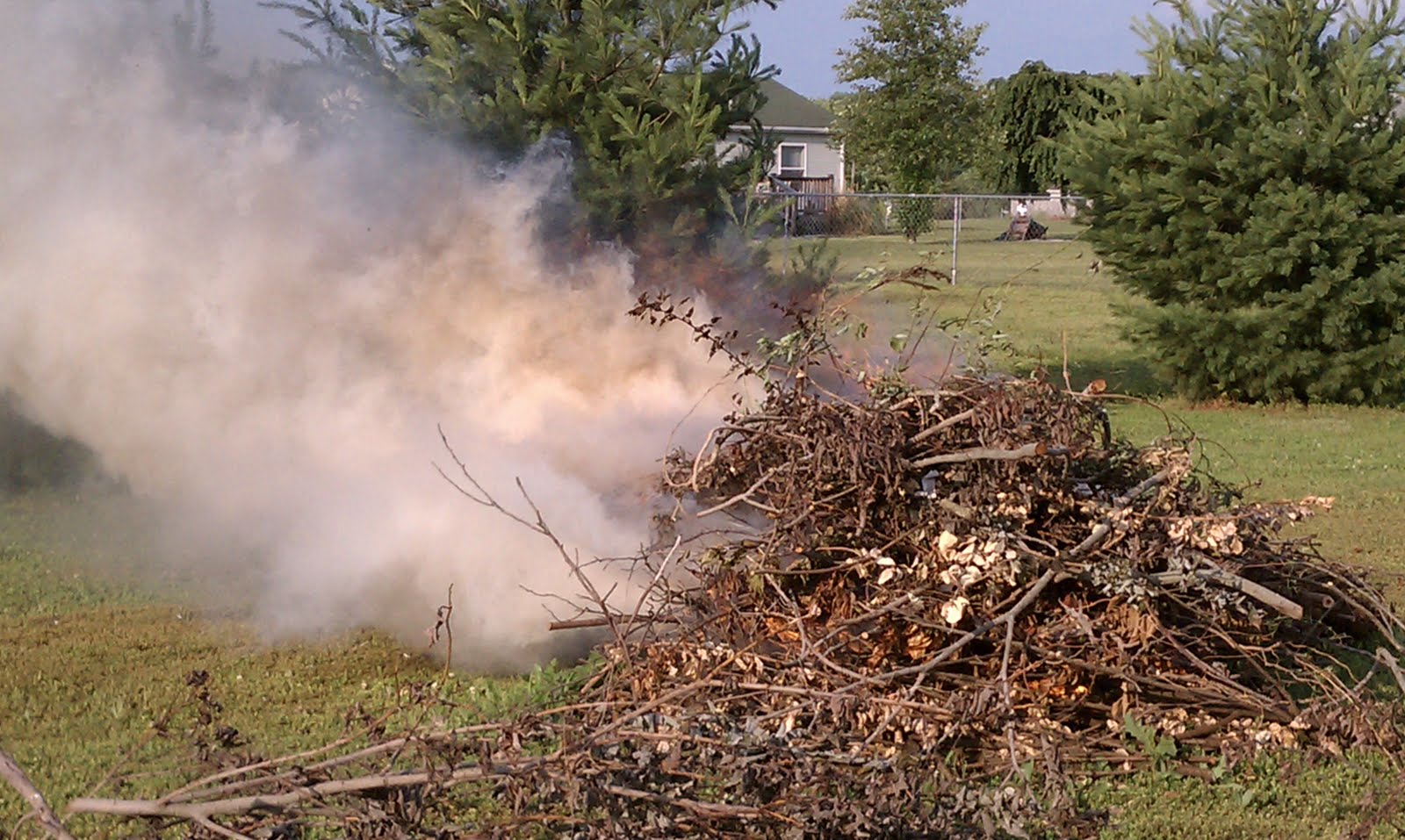A New Fine Question Brush Pile