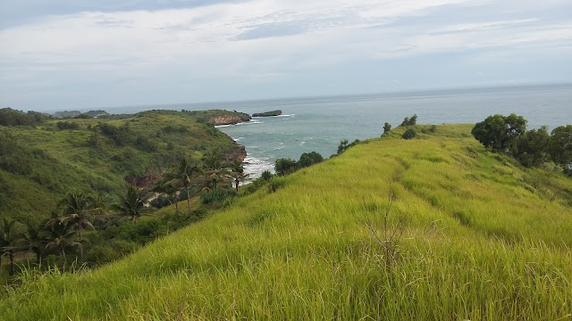 lokasi-lahan-buah-naga-ngiroboyo