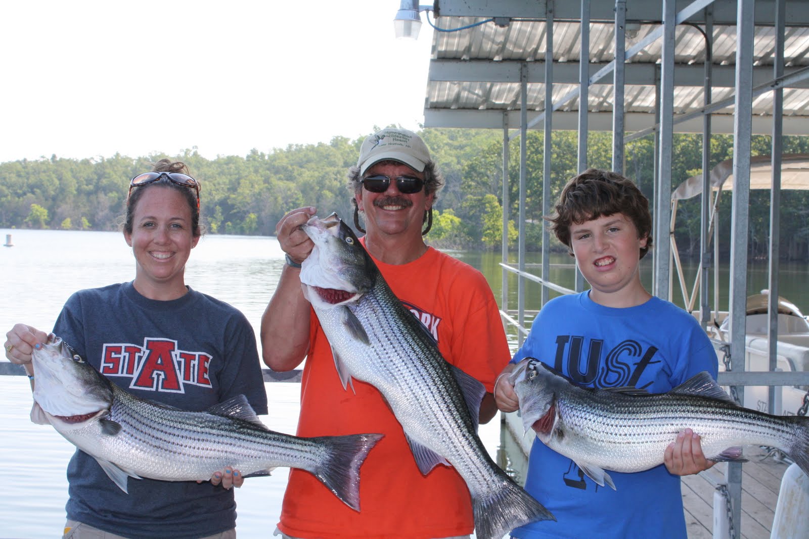 Hummingbird Hideaway Resort on Norfork Lake Norfork Lake Fishing Report