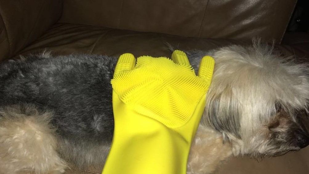 Pet Care We Tried Fur Zapper and The Glove SPATE The 1 Hip Hop News